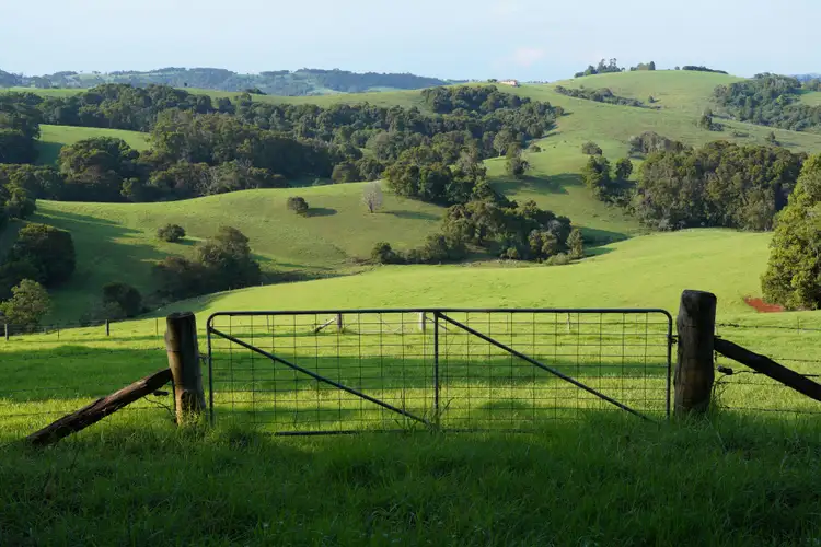 Sixth view of Homely rural property listing, 665 Whisky Creek Road, Dorrigo NSW 2453