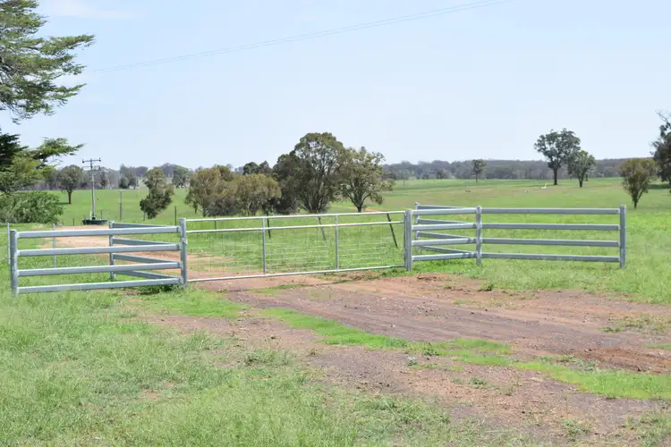 Third view of Homely rural property listing, 1071 Briarbrook Road, Guyra NSW 2365