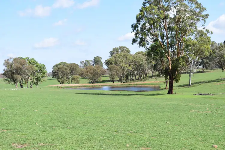 Seventh view of Homely rural property listing, 1071 Briarbrook Road, Guyra NSW 2365