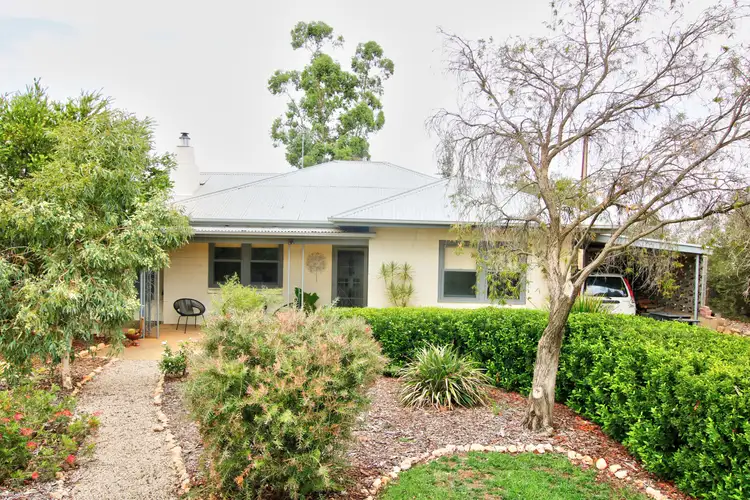 169 Ballantine Road, Waikerie SA 5330