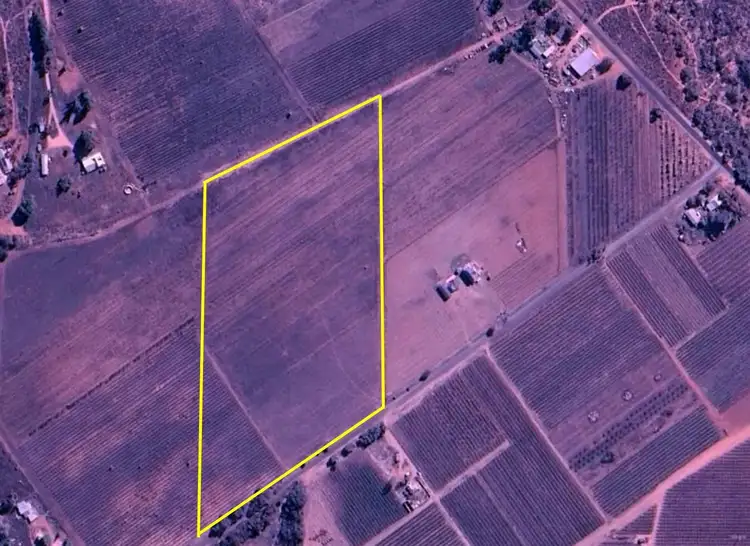 Section 72 Kite Street, Renmark SA 5341