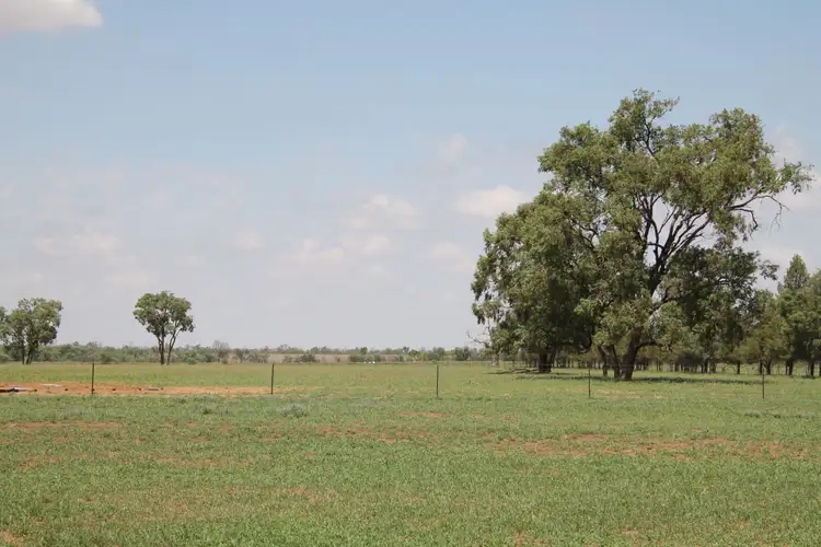 Third view of Homely house listing, 22 Johnston Road, St George QLD 4487