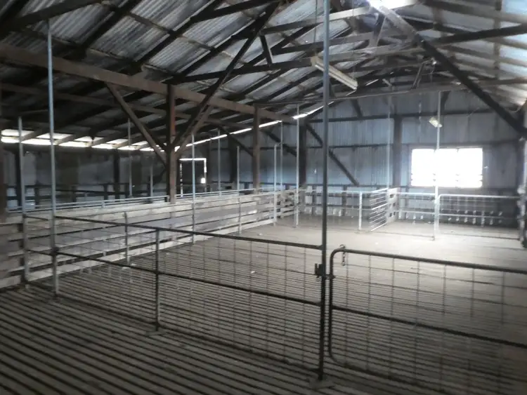 Seventh view of Homely rural property listing, 1315 Sidcup Road, Perillup WA 6324