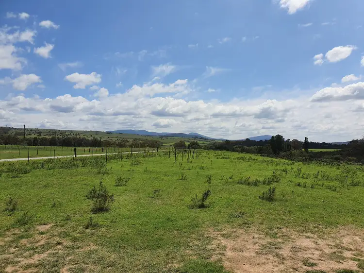 Seventh view of Homely rural property listing, 2457 Cooma Road, Ballalaba, Braidwood NSW 2622