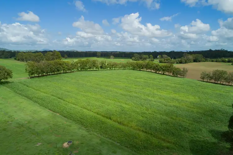 Seventh view of Homely rural property listing, 415-433 Anderleigh Road, Gunalda QLD 4570