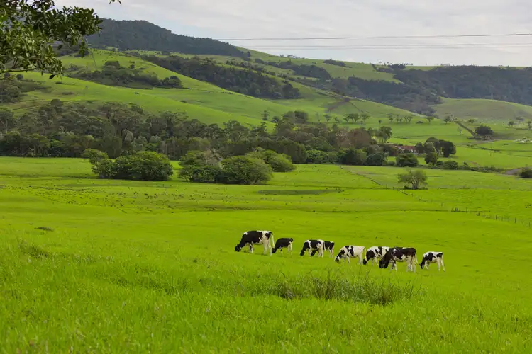 Fifth view of Homely rural property listing, 128 Alne Bank Lane, Rose Valley NSW 2534