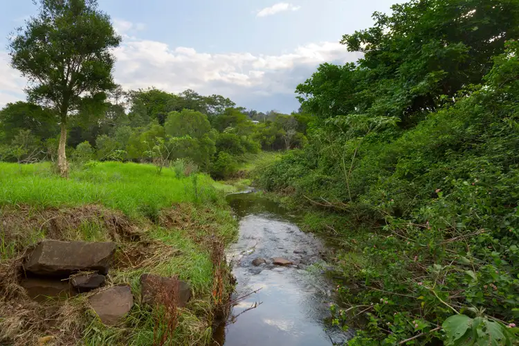 Sixth view of Homely rural property listing, 128 Alne Bank Lane, Rose Valley NSW 2534