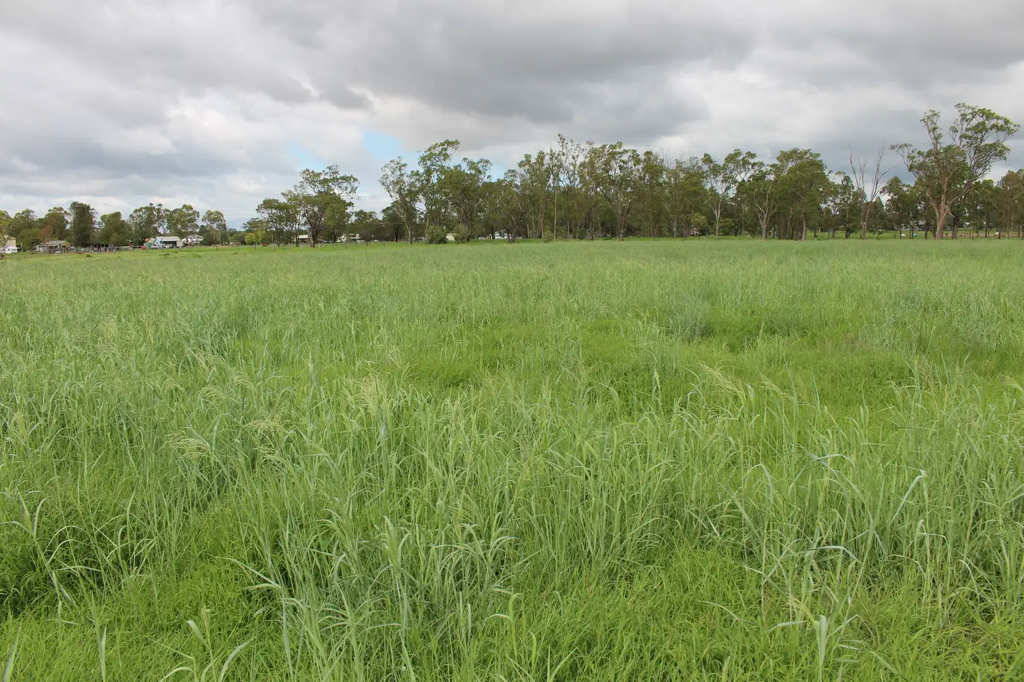 Main view of Homely rural property listing, 7852 Gore Highway, Millmerran QLD 4357