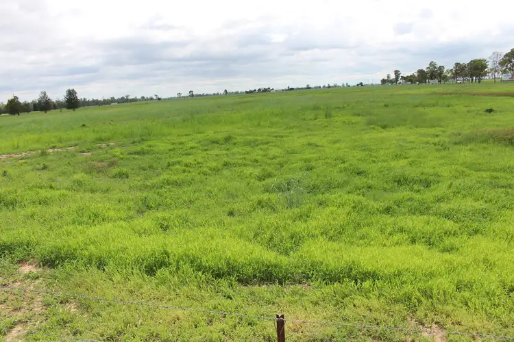 Fifth view of Homely rural property listing, 7852 Gore Highway, Millmerran QLD 4357