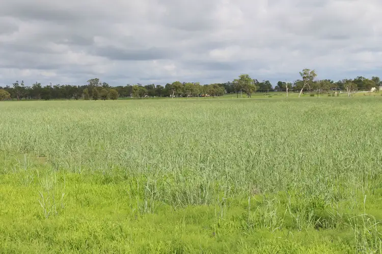 Sixth view of Homely rural property listing, 7852 Gore Highway, Millmerran QLD 4357