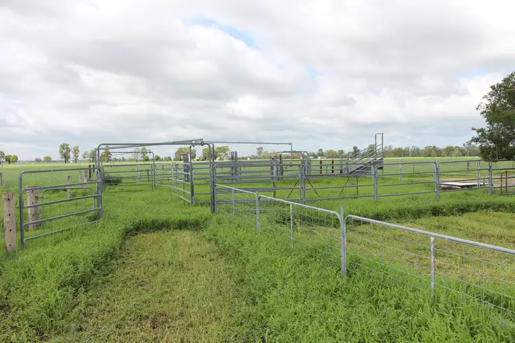 Seventh view of Homely rural property listing, 7852 Gore Highway, Millmerran QLD 4357