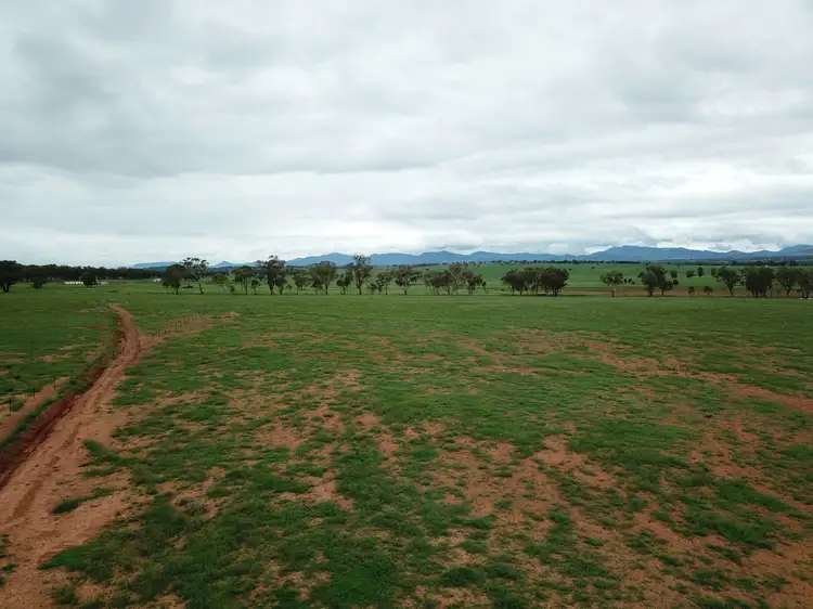 Fourth view of Homely land listing, Lot 3 Meadows Lane, Tamworth NSW 2340
