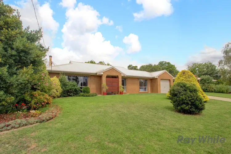 Main view of Homely house listing, 49 Barinya Street, Barooga NSW 3644