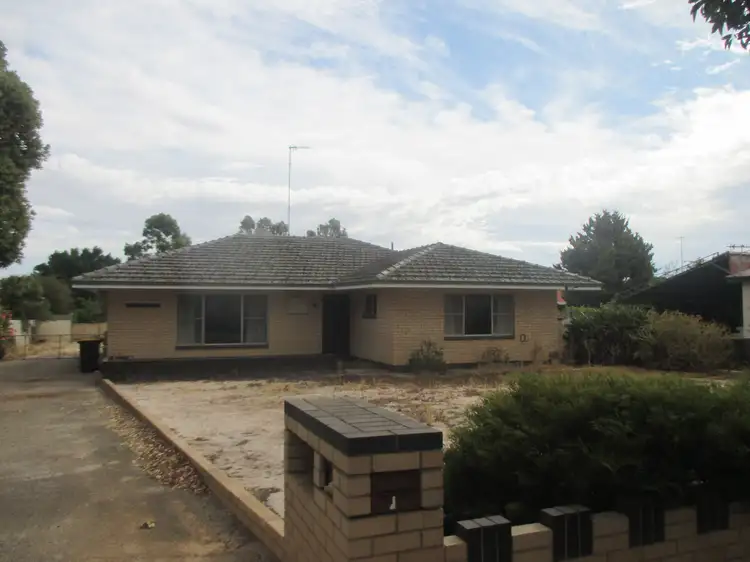1 Brownie, Katanning WA 6317