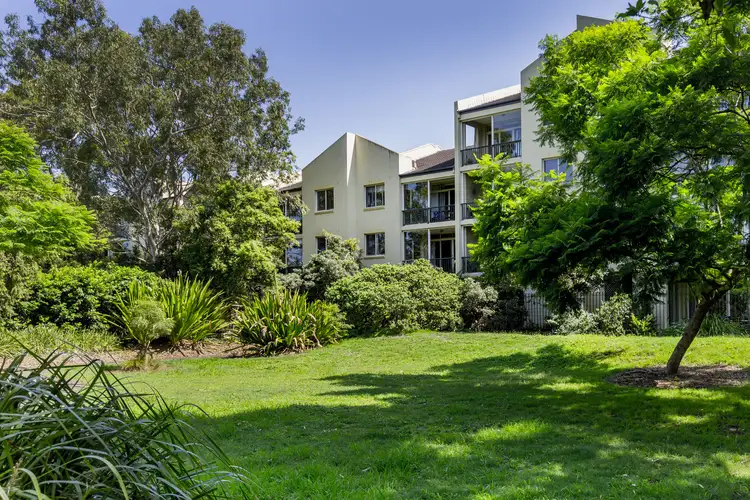 17/42 Lombard Street, Glebe NSW 2037