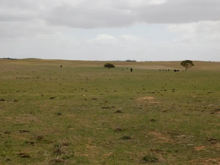 Main view of Homely rural property listing, 603 DAY Road, Lameroo SA 5302