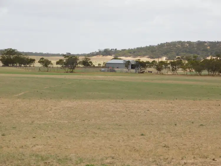 Fourth view of Homely rural property listing, 603 DAY Road, Lameroo SA 5302