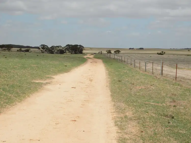Fifth view of Homely rural property listing, 603 DAY Road, Lameroo SA 5302