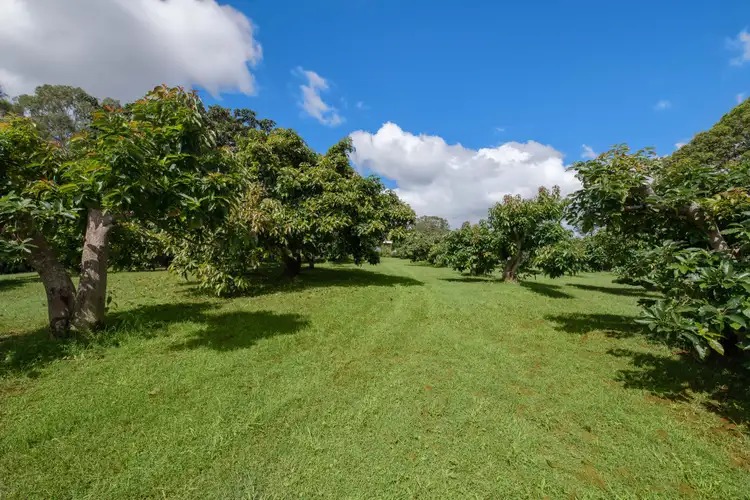 Third view of Homely rural property listing, 147 Obi Obi Road, Mapleton QLD 4560