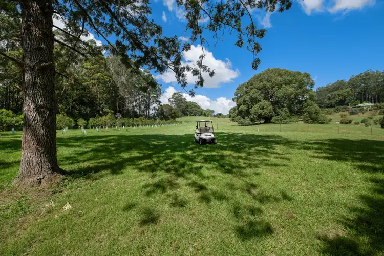 Fifth view of Homely rural property listing, 147 Obi Obi Road, Mapleton QLD 4560