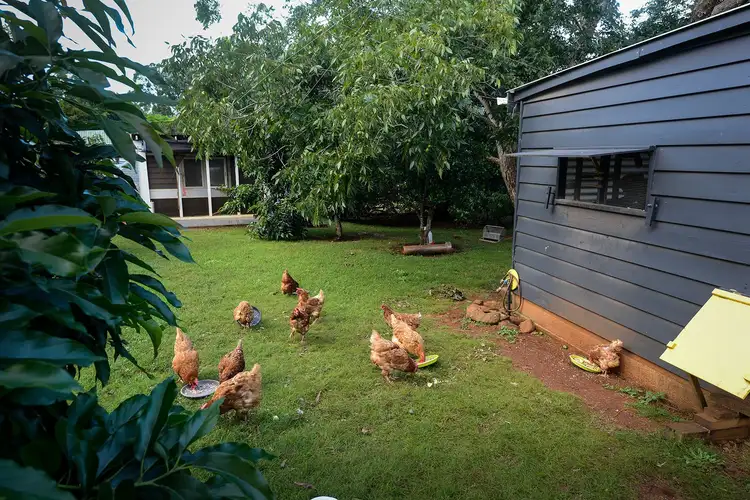Sixth view of Homely rural property listing, 147 Obi Obi Road, Mapleton QLD 4560