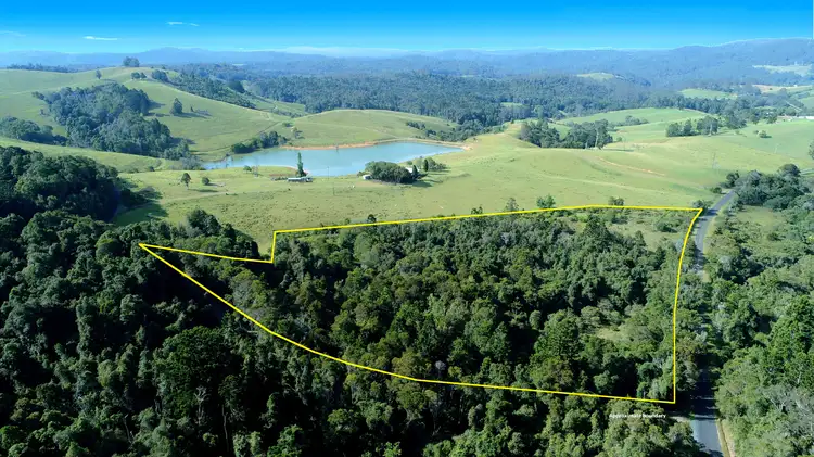 1043 Coramba Road, Dorrigo NSW 2453