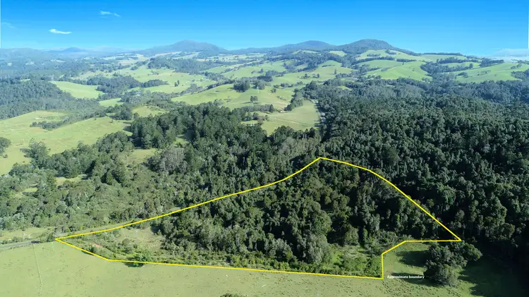 Second view of Homely rural property listing, 1043 Coramba Road, Dorrigo NSW 2453