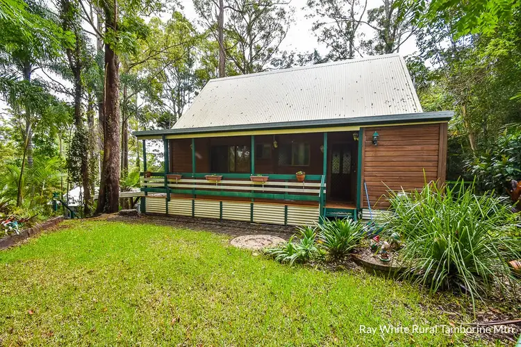 Main view of Homely house listing, 7 Lucania Court, Tamborine Mountain QLD 4272