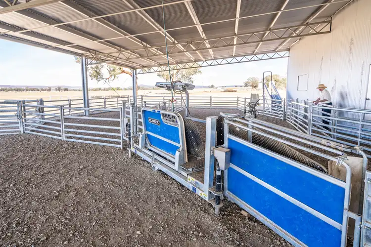 Fifth view of Homely rural property listing, 1015 Mid Western Highway, Cowra NSW 2794