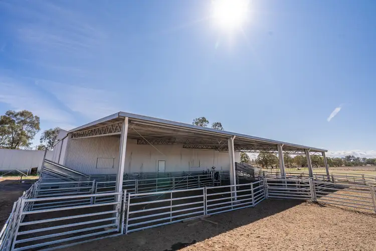 Sixth view of Homely rural property listing, 1015 Mid Western Highway, Cowra NSW 2794