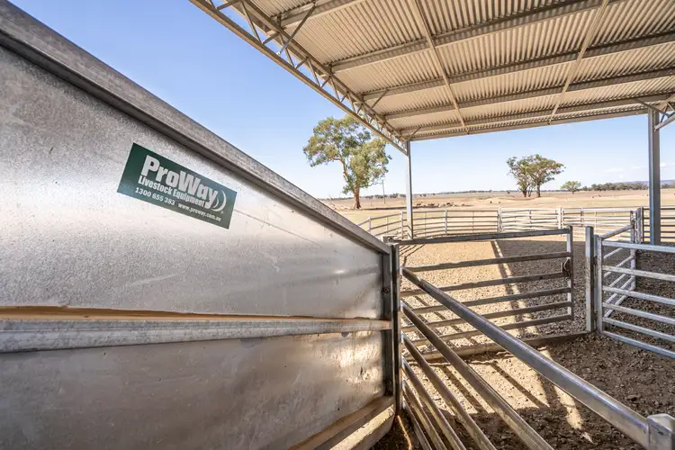 Seventh view of Homely rural property listing, 1015 Mid Western Highway, Cowra NSW 2794