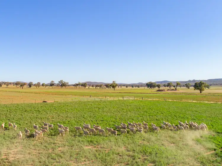 Second view of Homely rural property listing, 2789 Lachlan Valley Way, Gooloogong NSW 2805