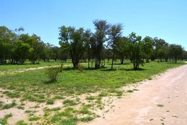 Third view of Homely rural property listing, Lot 3 Frames Lane, Blackall QLD 4472