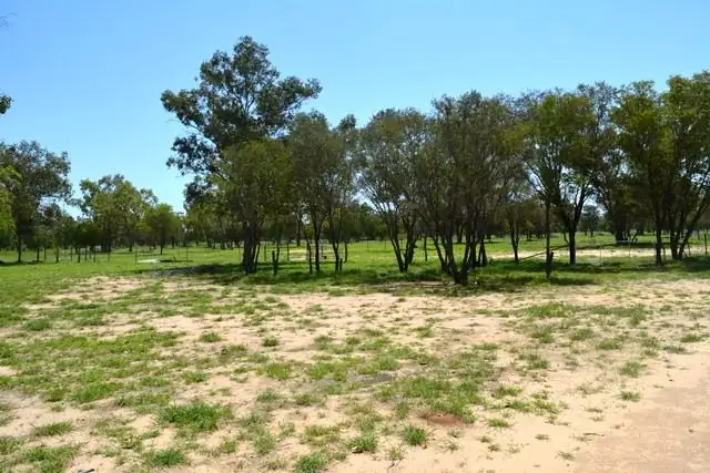 Seventh view of Homely rural property listing, Lot 3 Frames Lane, Blackall QLD 4472
