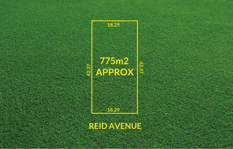 137 Reid Avenue, Hectorville SA 5073