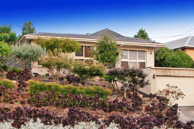 16 Edward Road, Chirnside Park VIC 3116