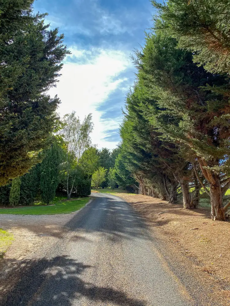 Fifth view of Homely house listing, 204 Albion Street, Oberon NSW 2787