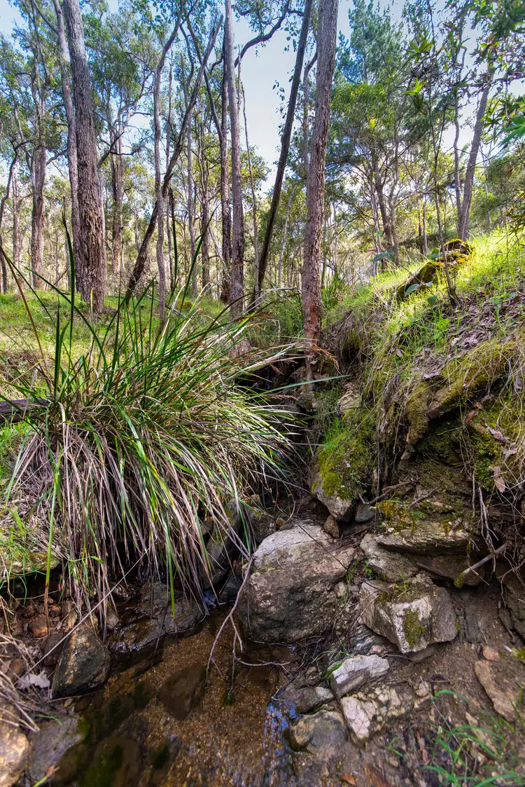 Fourth view of Homely rural property listing, 270 Boundary Road, Nannup WA 6275