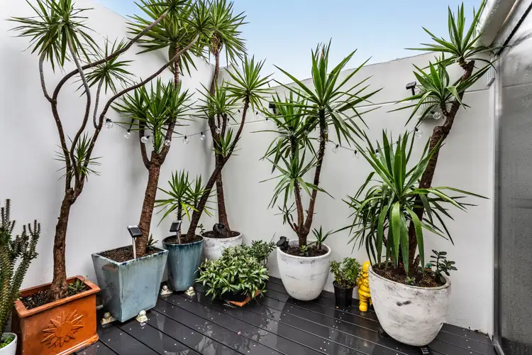 Sixth view of Homely house listing, 77 Leinster Street, Paddington NSW 2021