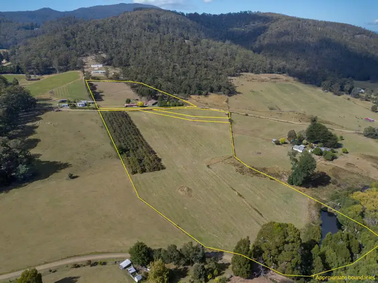 Main view of Homely house listing, 40 Cross Road, Nicholls Rivulet TAS 7112