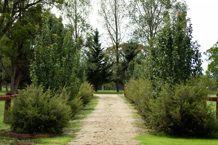 Fourth view of Homely rural property listing, 275 Toms Gully Road, Black Mountain NSW 2365