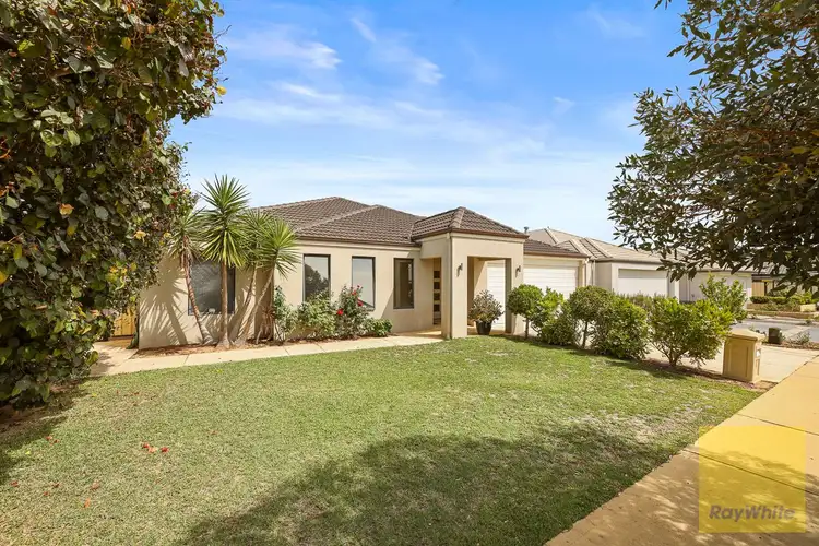 6 Dekalb Link, Clarkson WA 6030