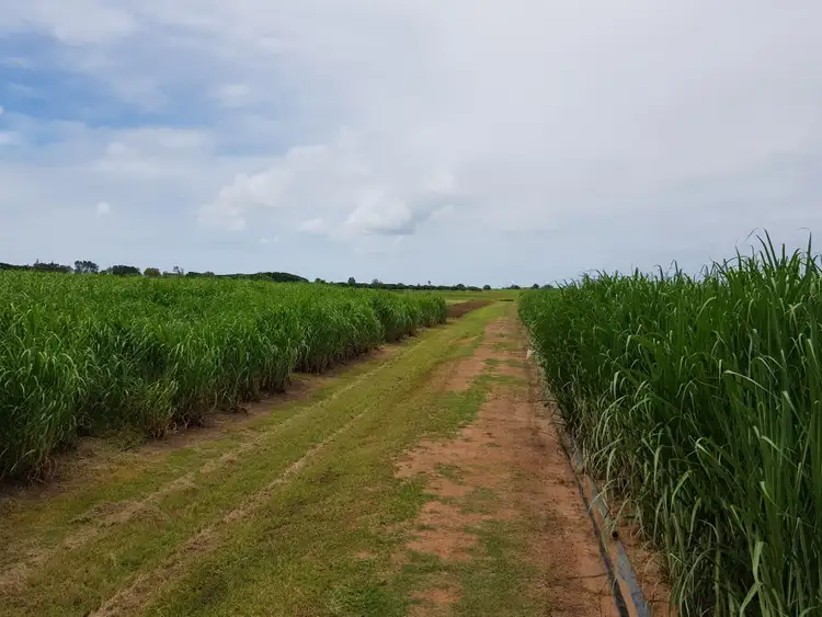 Sixth view of Homely land listing, 0 Wawoon Road, Woongarra QLD 4670