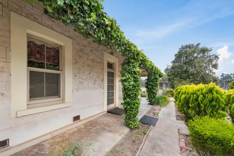 Third view of Homely house listing, 1786 Harry Butler Road, Yorketown SA 5576