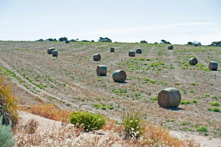 Third view of Homely rural property listing, Lot 14 South Coast Road, Foul Bay SA 5577