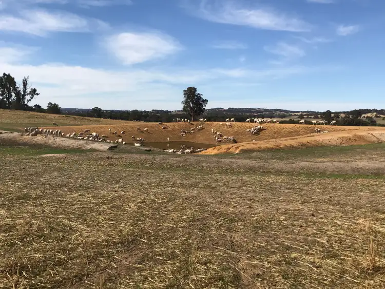 Seventh view of Homely rural property listing, Cloverbrook 546 Dwarda East Road, Wandering WA 6308