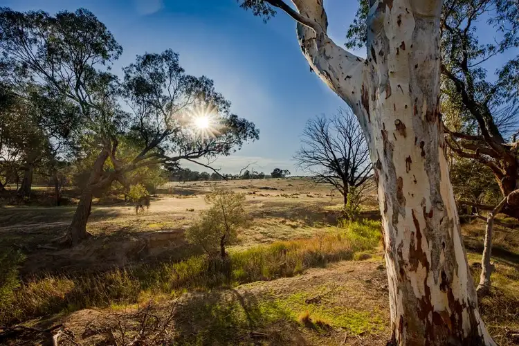 Main view of Homely house listing, 3047 Wargeila Road, Yass NSW 2582