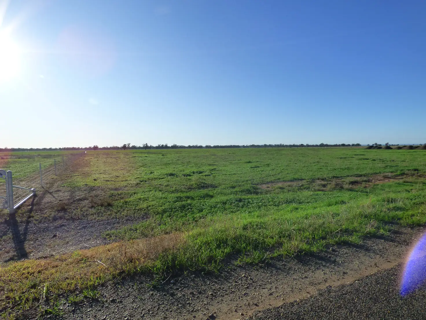 Main view of Homely land listing, 613 Wongajong Road, Forbes NSW 2871