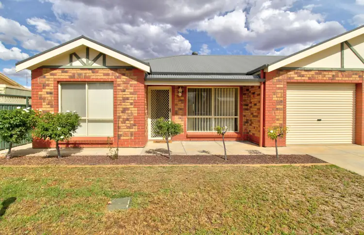 9D Bice Street, Barmera SA 5345
