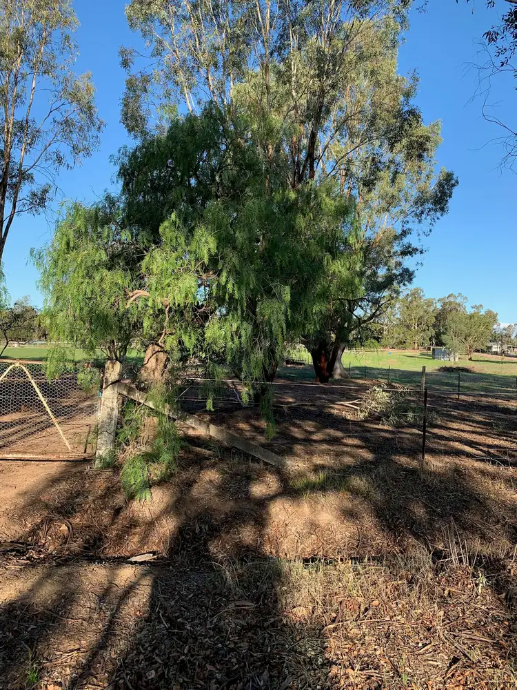 Seventh view of Homely land listing, 82A Thomas Street, Gerogery NSW 2642